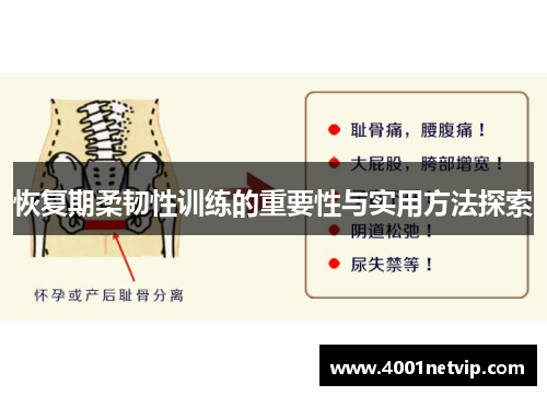 恢复期柔韧性训练的重要性与实用方法探索